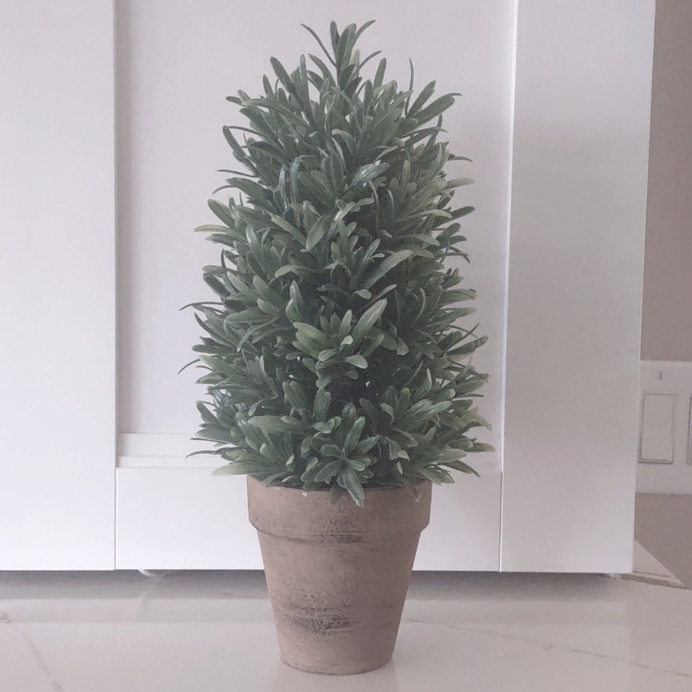 Decorative topiary plastic